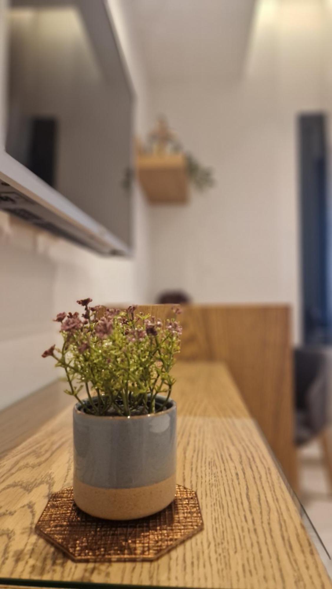 Meligeo Aparthotel Ioánnina Exteriör bild